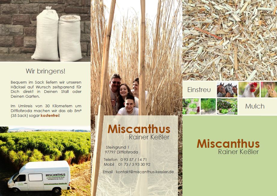 Flyer Miscanthus