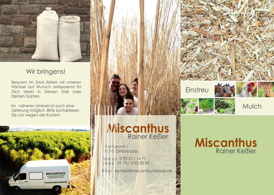 Flyer Miscanthus